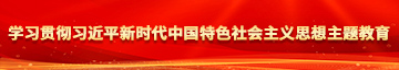 性感发骚美女被操学习贯彻习近平新时代中国特色社会主义思想主题教育